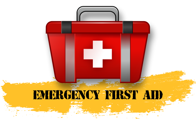 Emergency First Aid at Work